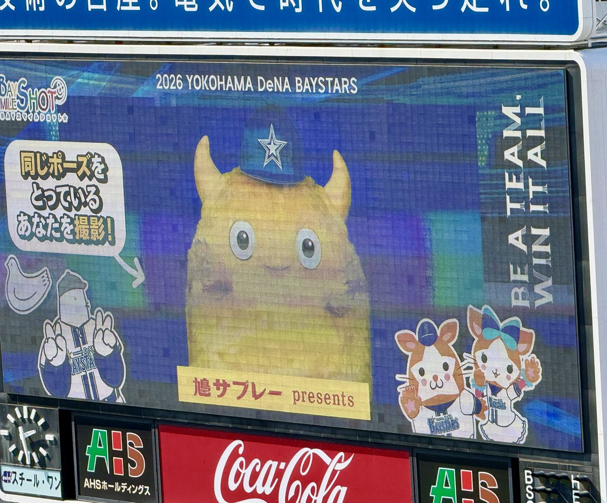 🟡🦭 tweet media