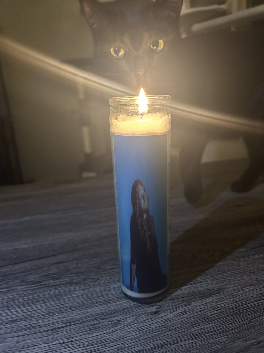 han-a-land😵💫 tweet media