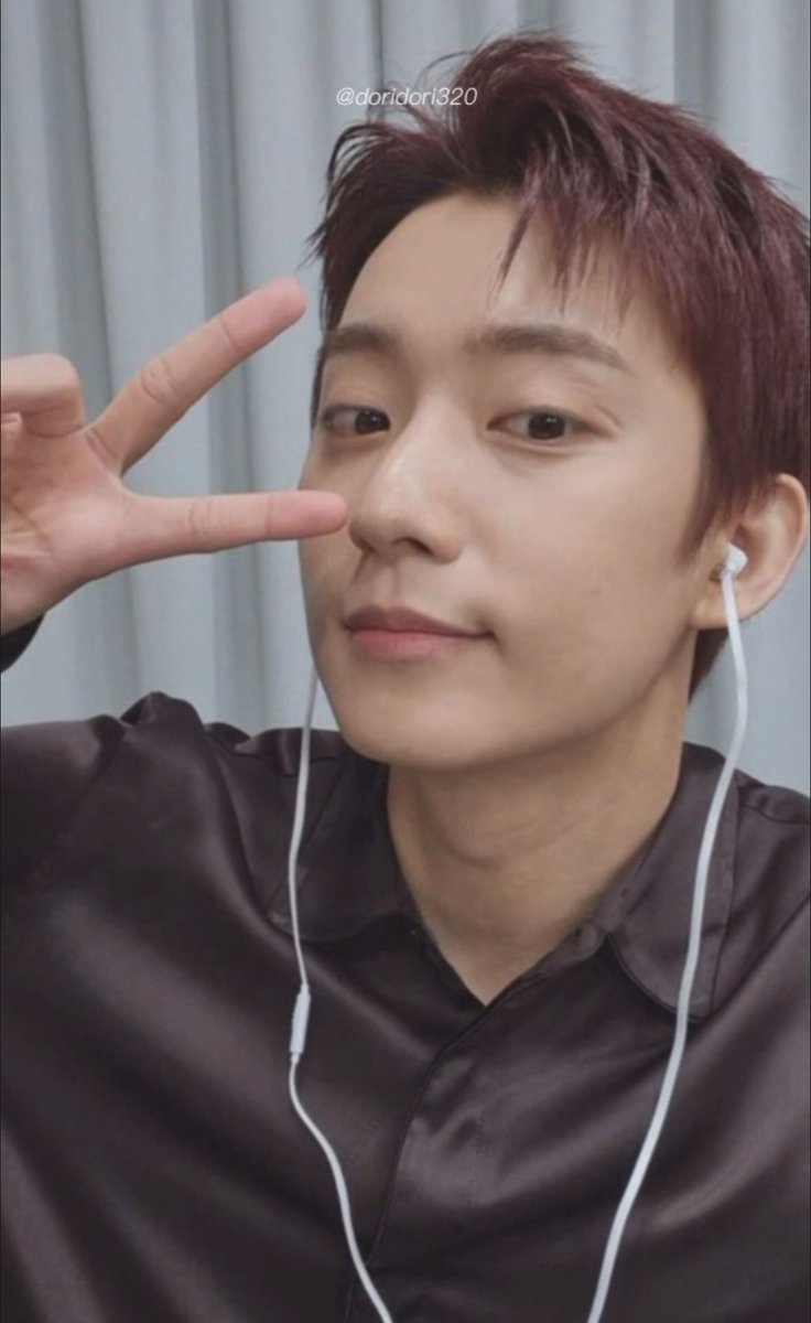 도리맹이 tweet media