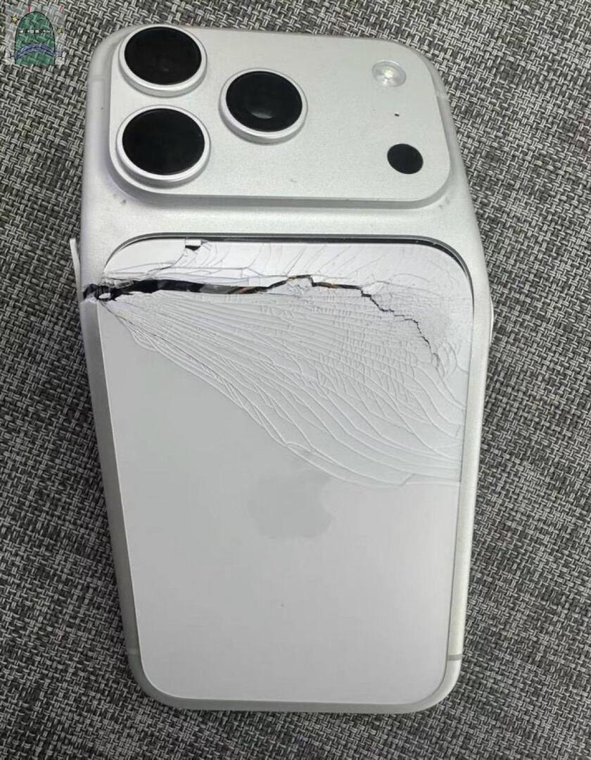 Tanyarlfes tweet media