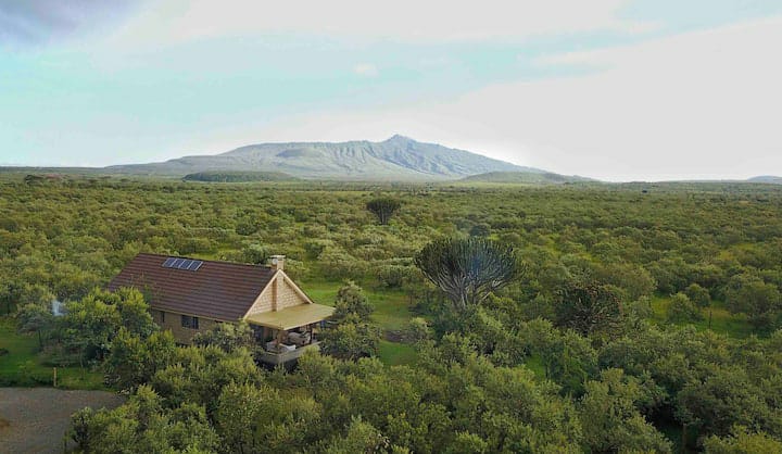 Perfect Strangers Safaris tweet media