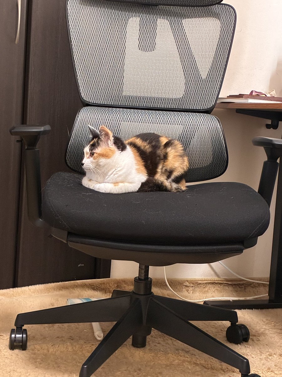 シュヴィ tweet media