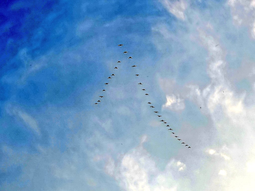 Sumit Dookia tweet media