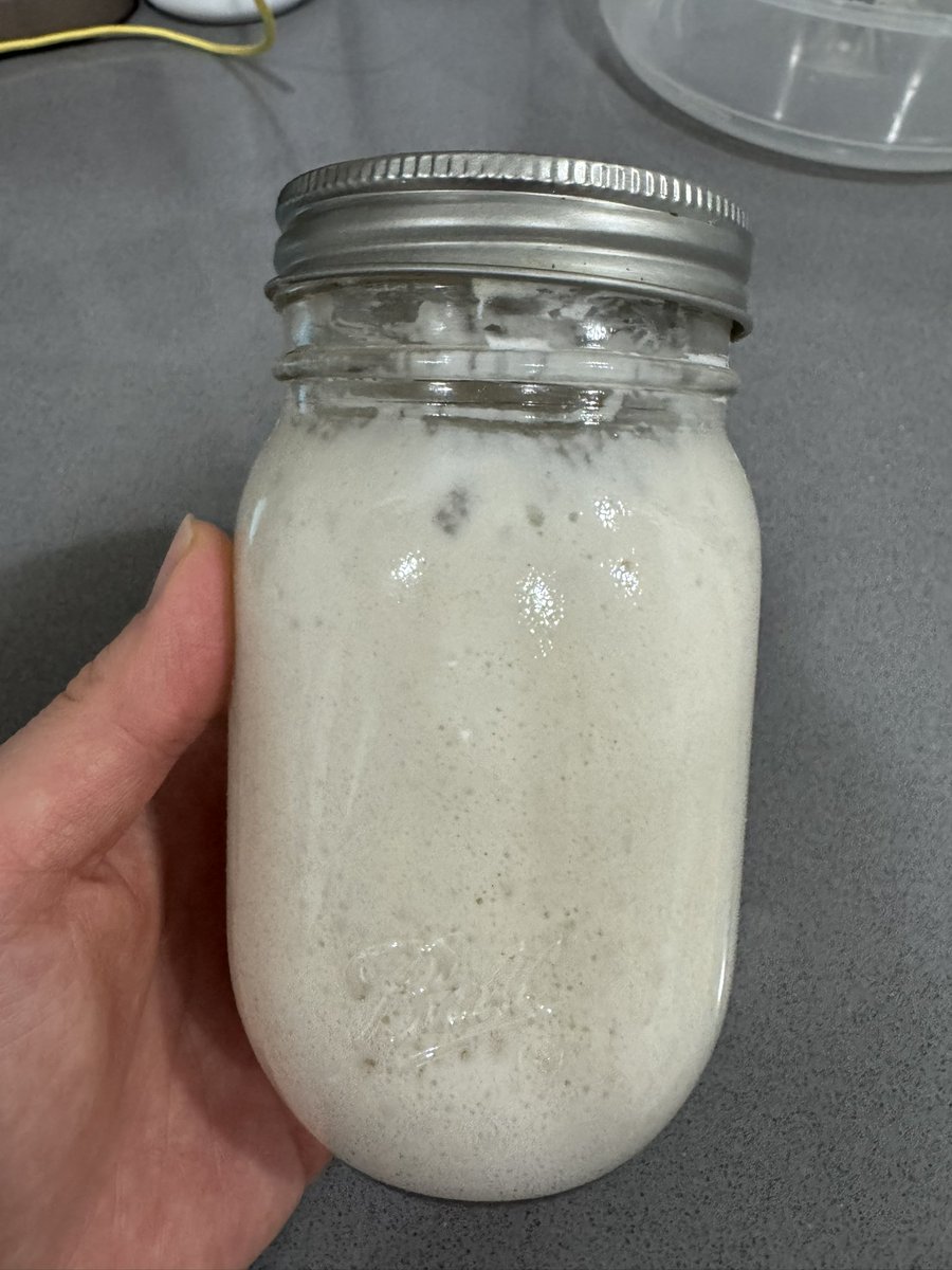 ぼーっとしてたらスターター使いすぎちゃって、小さじ1程度の残り分から半日でここまで復活👏