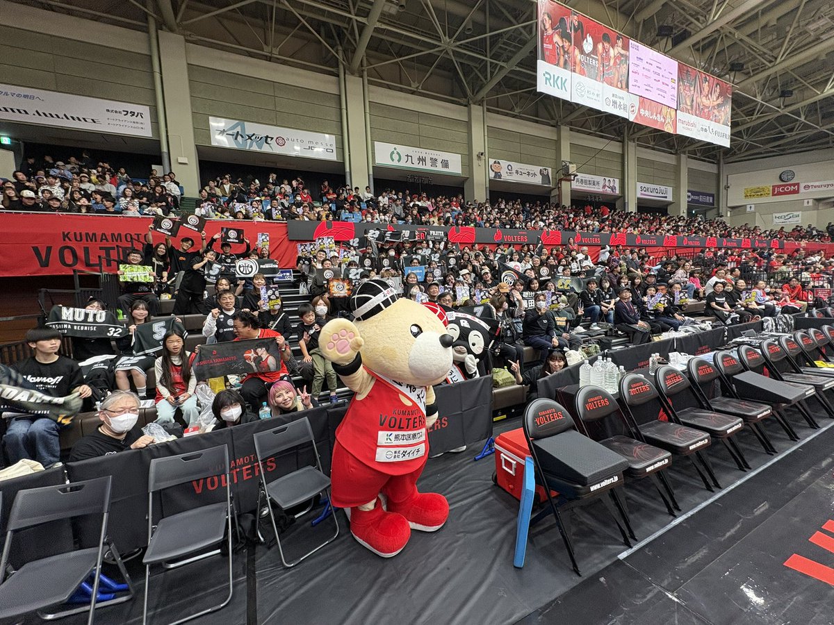 鹿児島レブナイズ tweet media