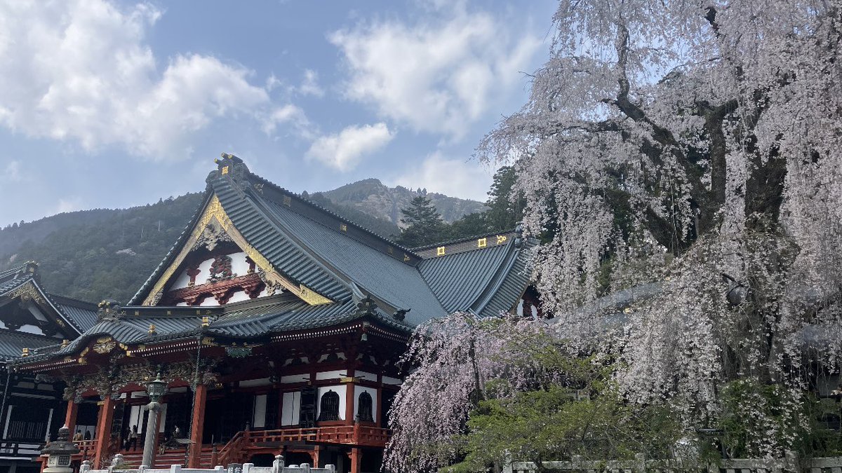 森のくまさん tweet media