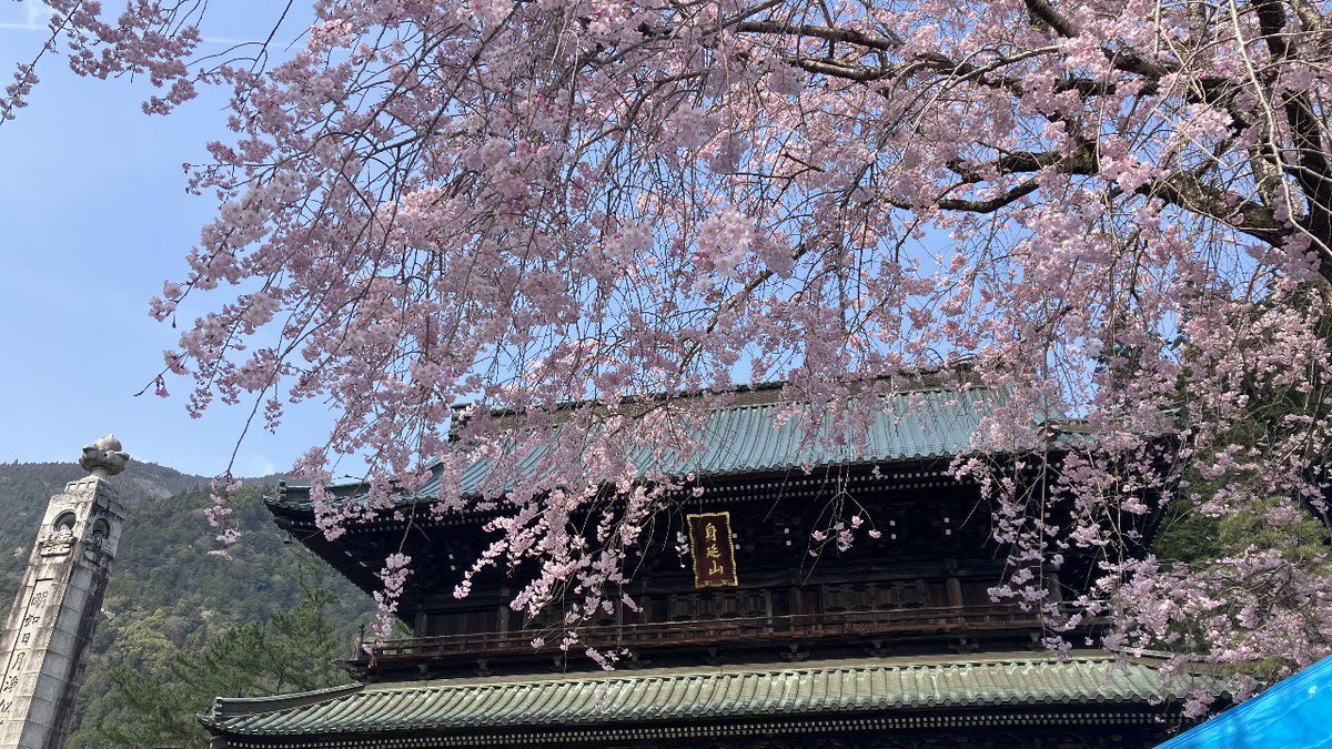 森のくまさん tweet media