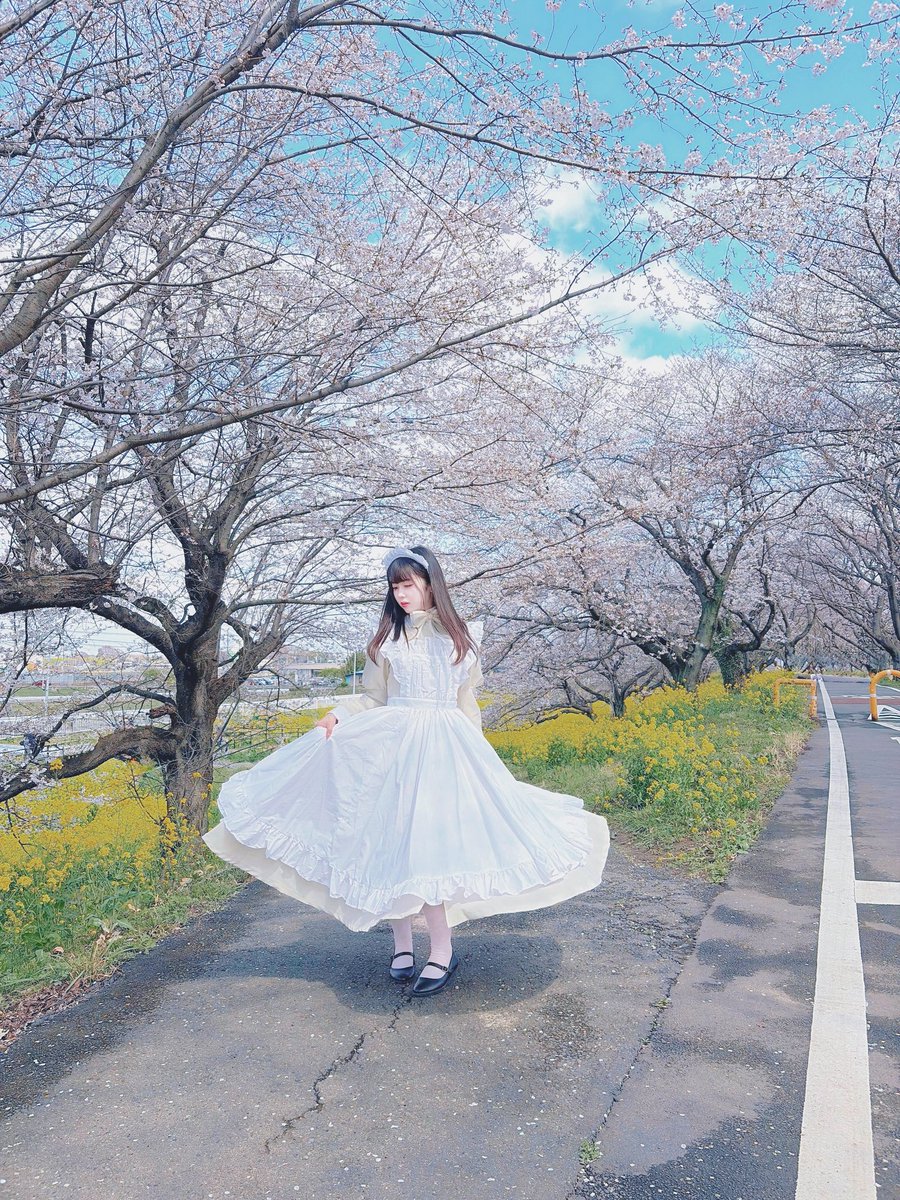 生き様みせろ tweet media