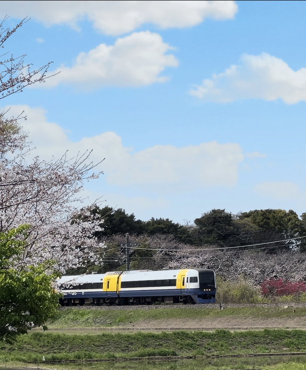 ぶんぶん丸【公式】【硬式】【肛式】【ギンギン】 tweet media