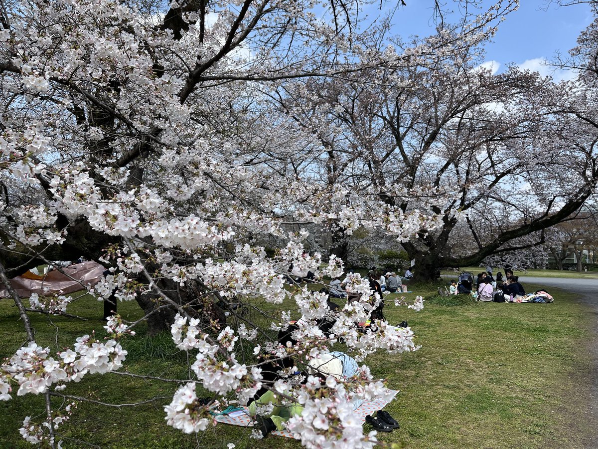 みっちゃん@\(^o^)/ tweet media