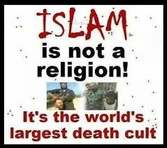 FreedomLover651 tweet media