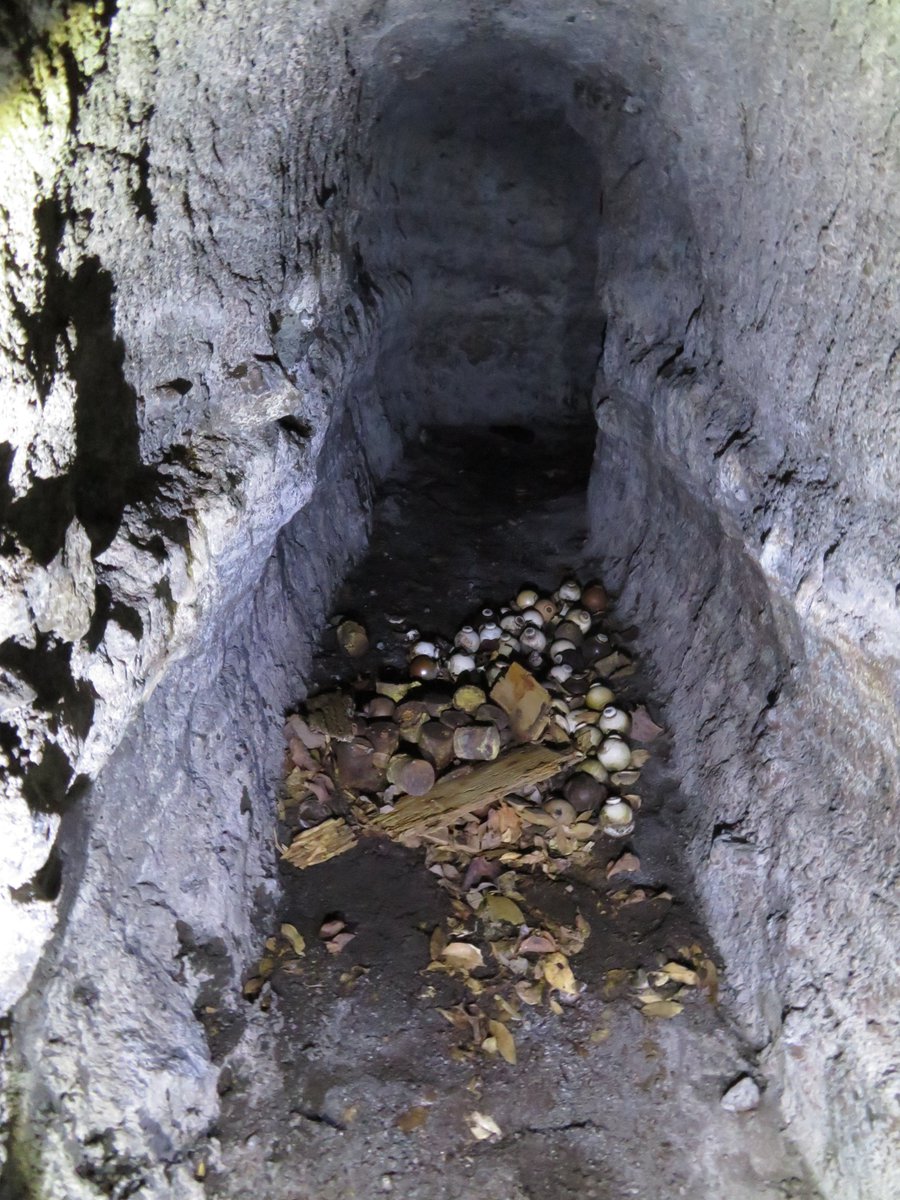 廃墟を旅する@東雲みょん tweet media