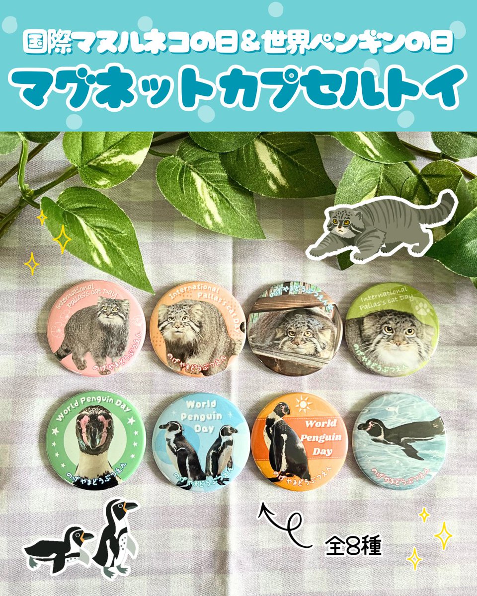 横浜市立野毛山動物園≪公式≫ tweet media