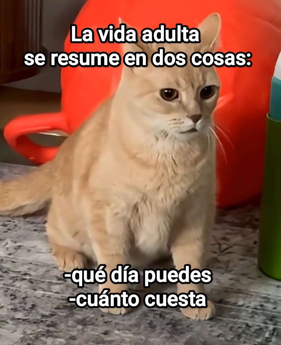 Cap Briagowsky tweet media