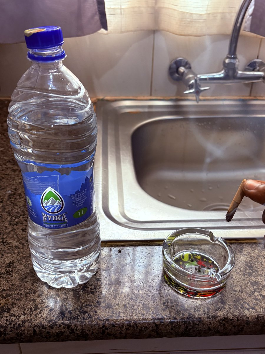 International Stoner 👽 tweet media