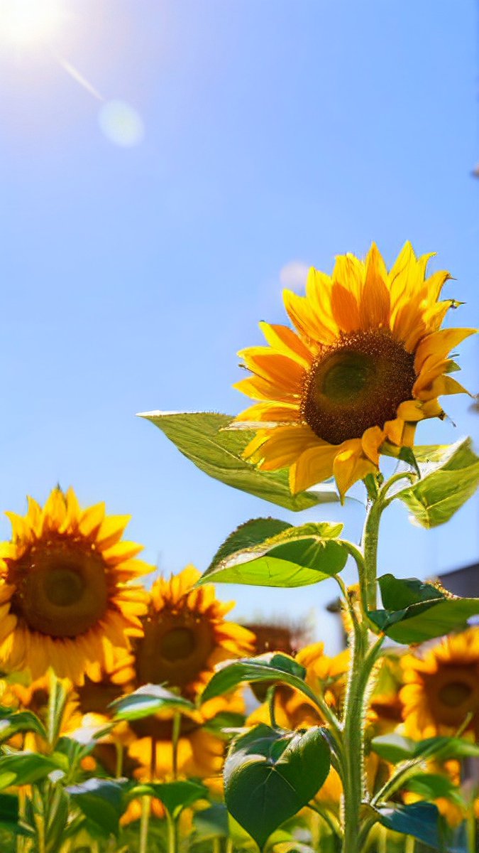 mark holt tweet media