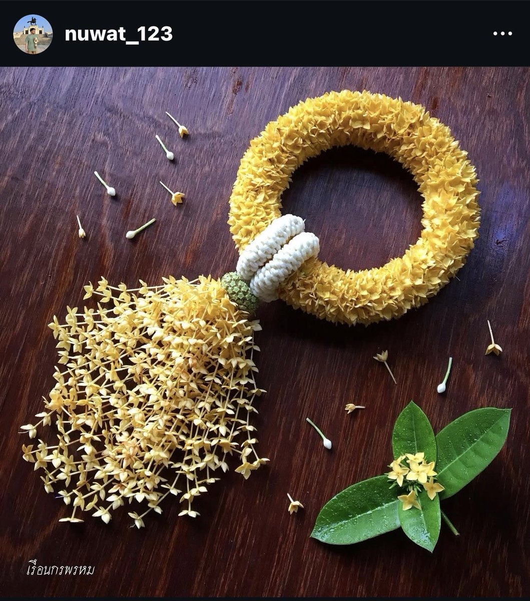 I am Little_My tweet media