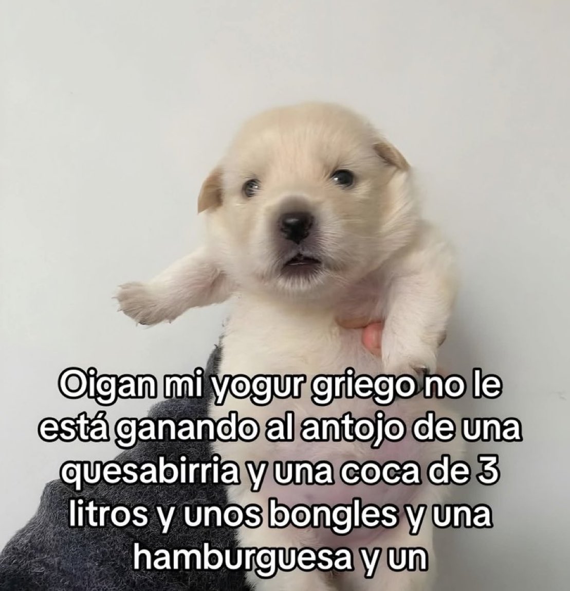 Ducky the Bounty Hunter tweet media