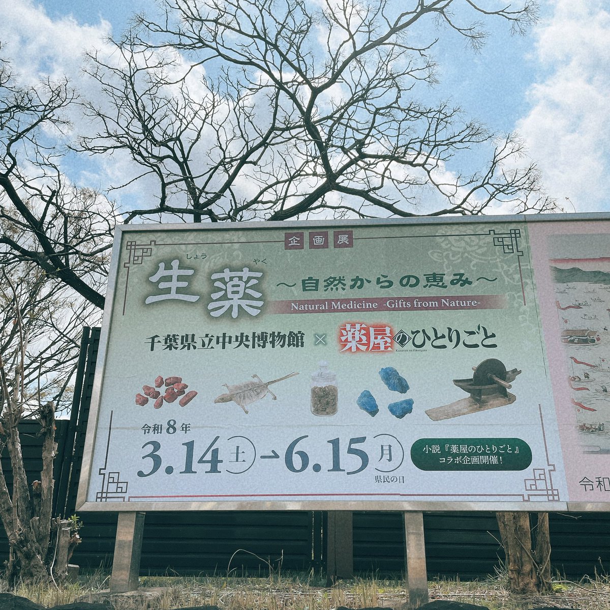 きんぎょ tweet media