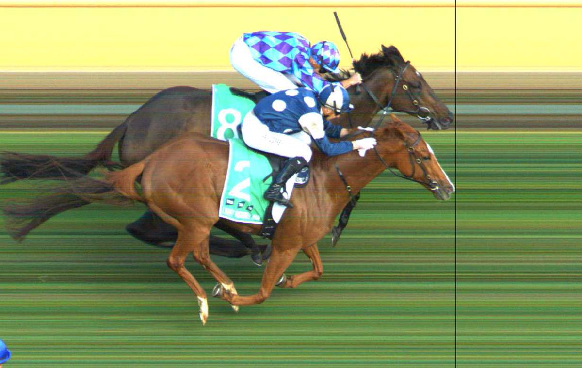 Victoria Racing Club tweet media