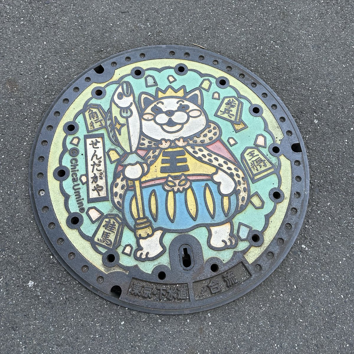 今日は奈良さんのセミナーを受講するために千駄ヶ谷へ🚶‍♀️
お散歩がてら周りを歩いていたら、かわいいマンホールを次々と発見！

3月のライオンですね
将棋会館があるからかな？