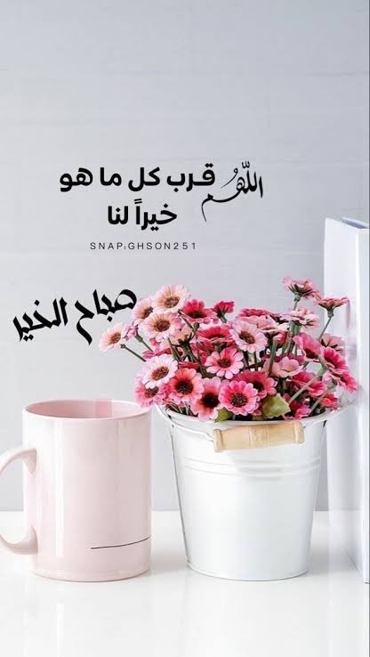 عزالعرب tweet media