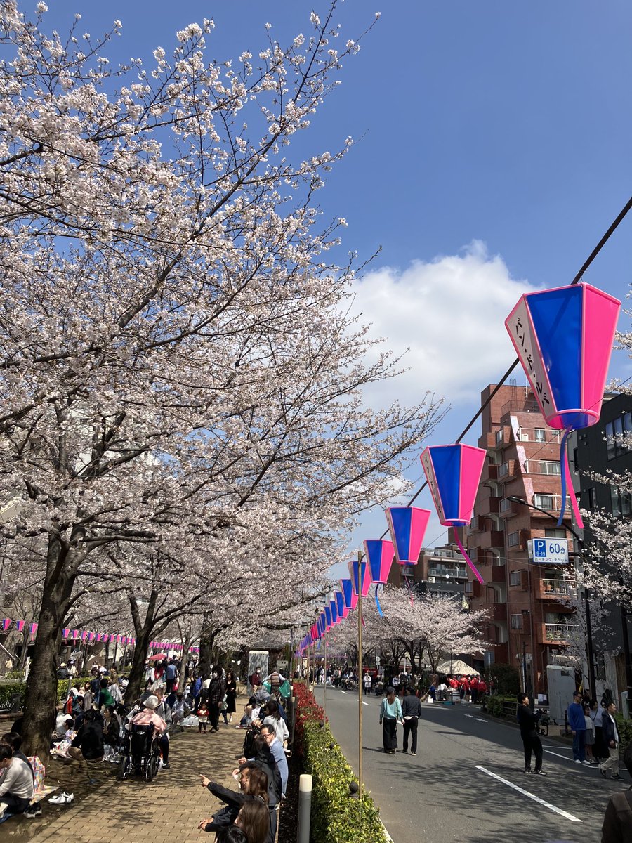 近所でお花見🌸場所により5〜8分咲き。町会の出店や近隣の私立学校の吹奏楽マーチング和太鼓やら出し物あり、日差し直撃で熱中症なるかと思うほどぽかぽか。お弁当も完食🍱ビールと日本酒も🍶