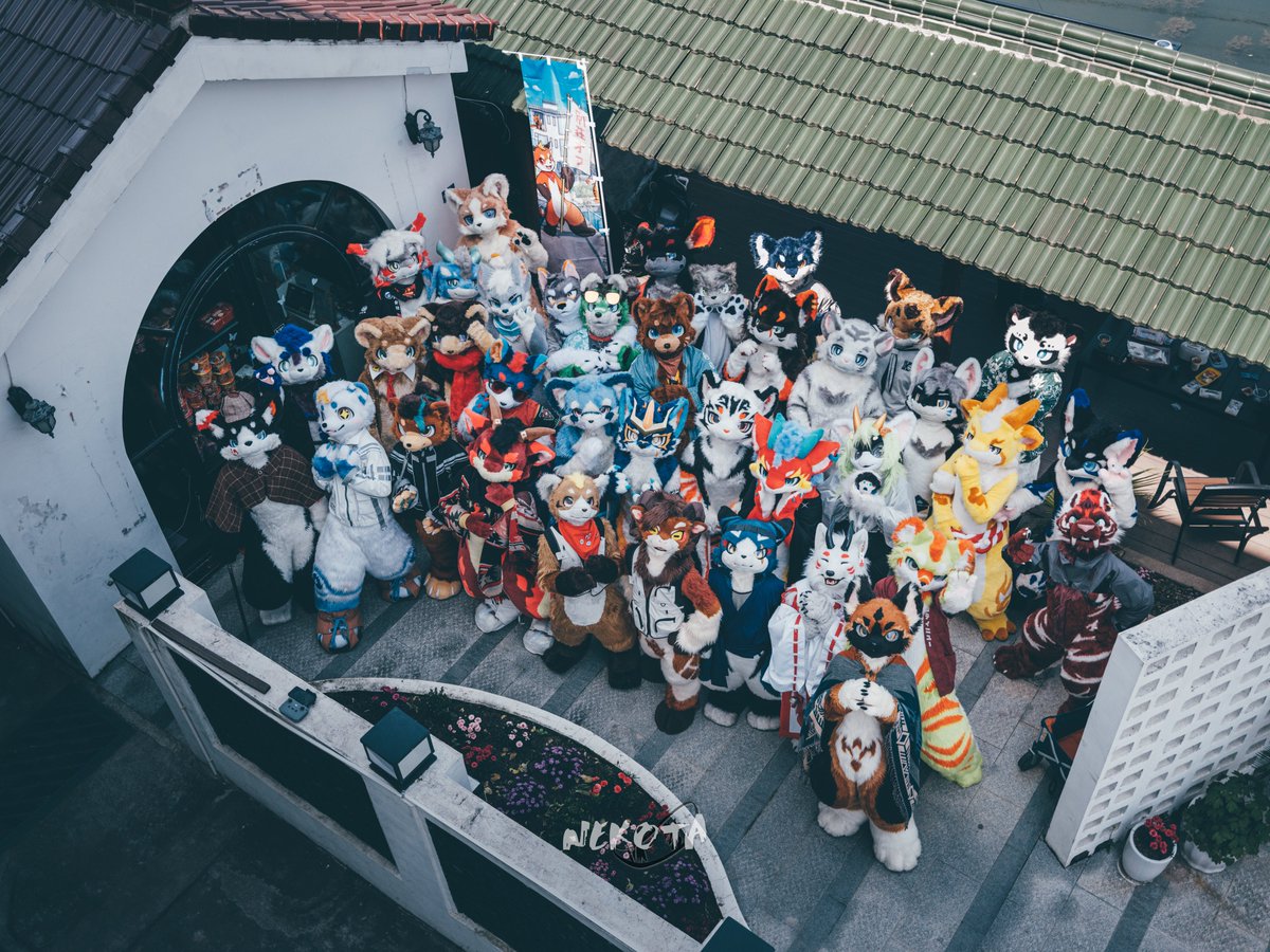 ネコタ@NEKOTA➡寺もふ tweet media