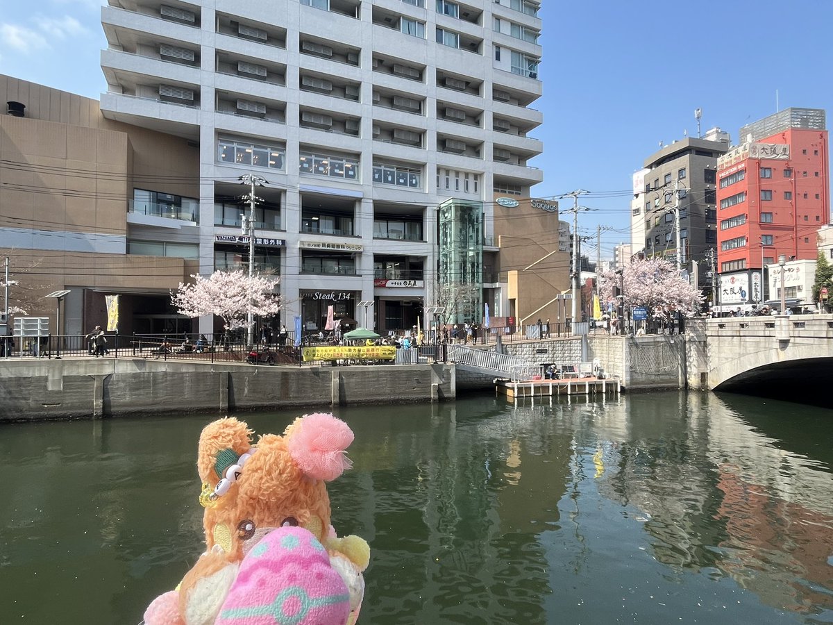 おチマちゃん tweet media