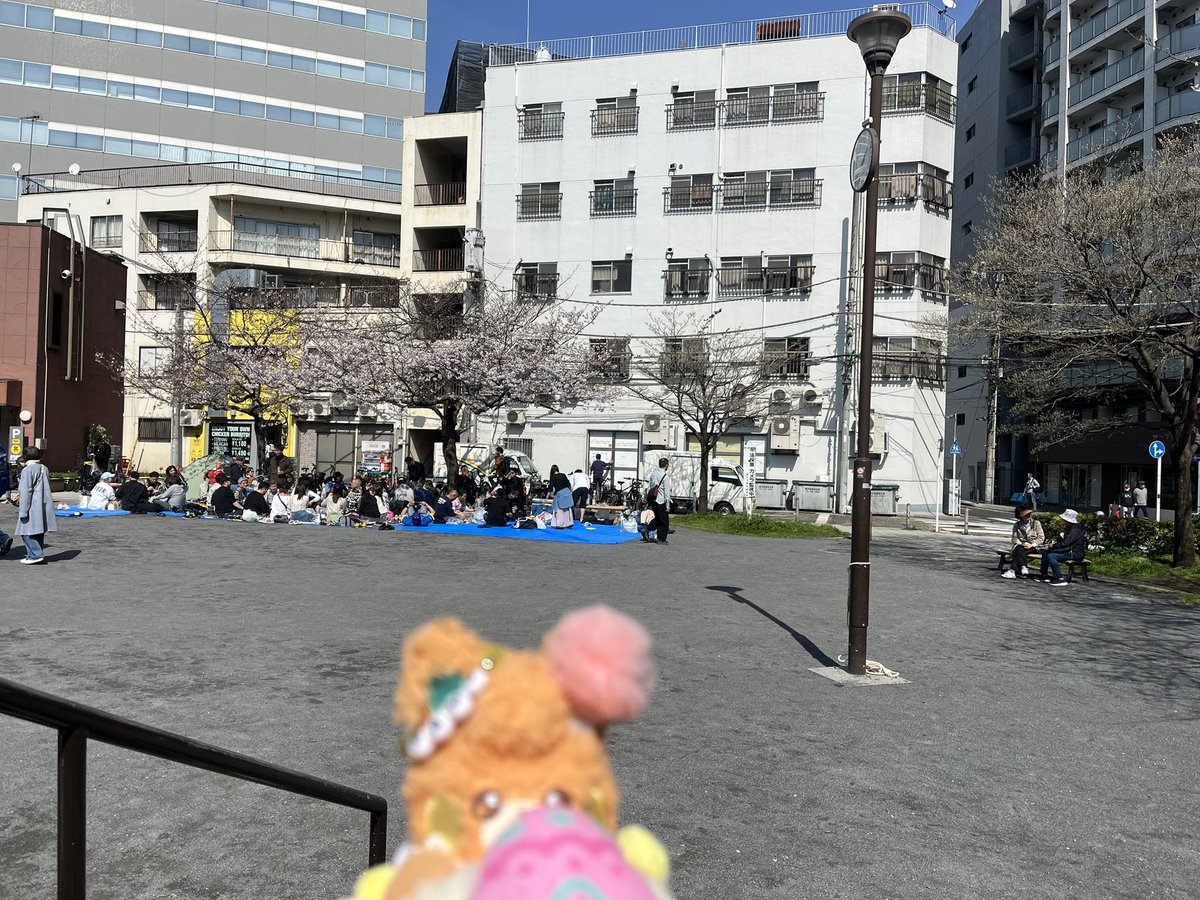 おチマちゃん tweet media