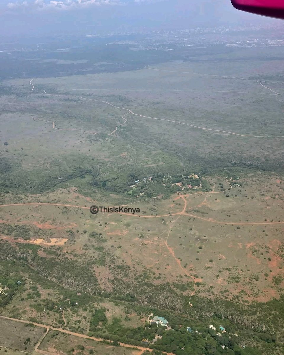 Ignatius tweet media