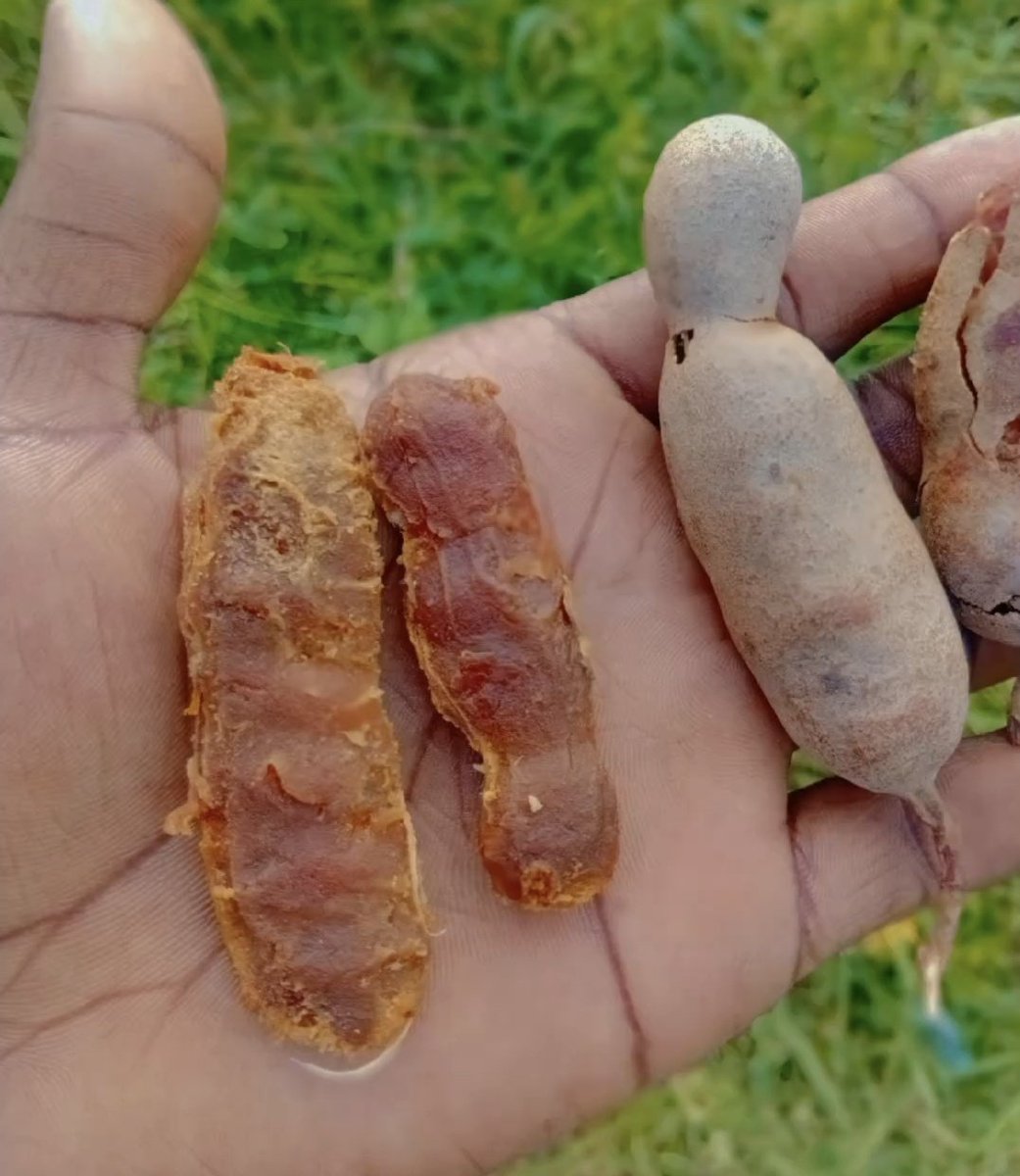 Vïvïĕ♡🇰🇪 tweet media