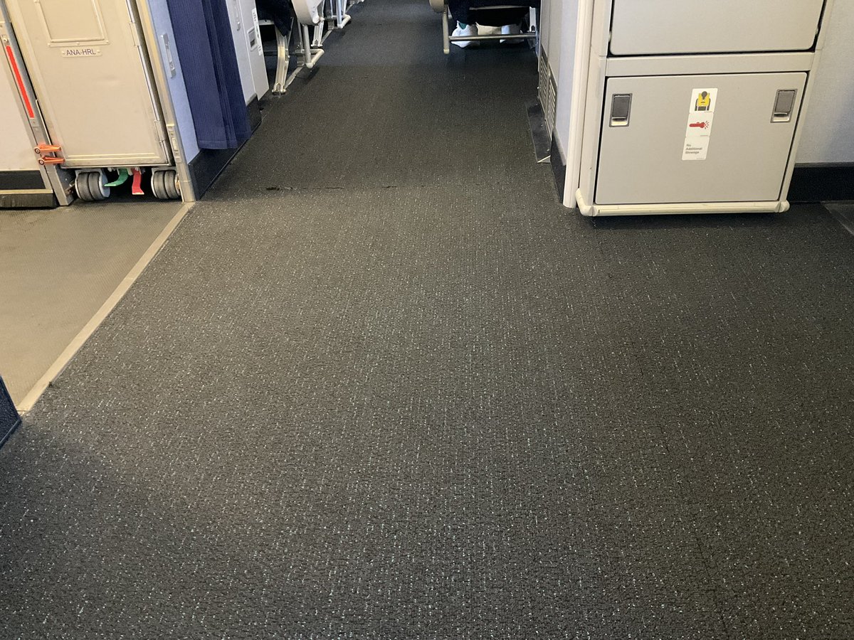 獣王(´･ω･｀)ﾉｼ tweet media