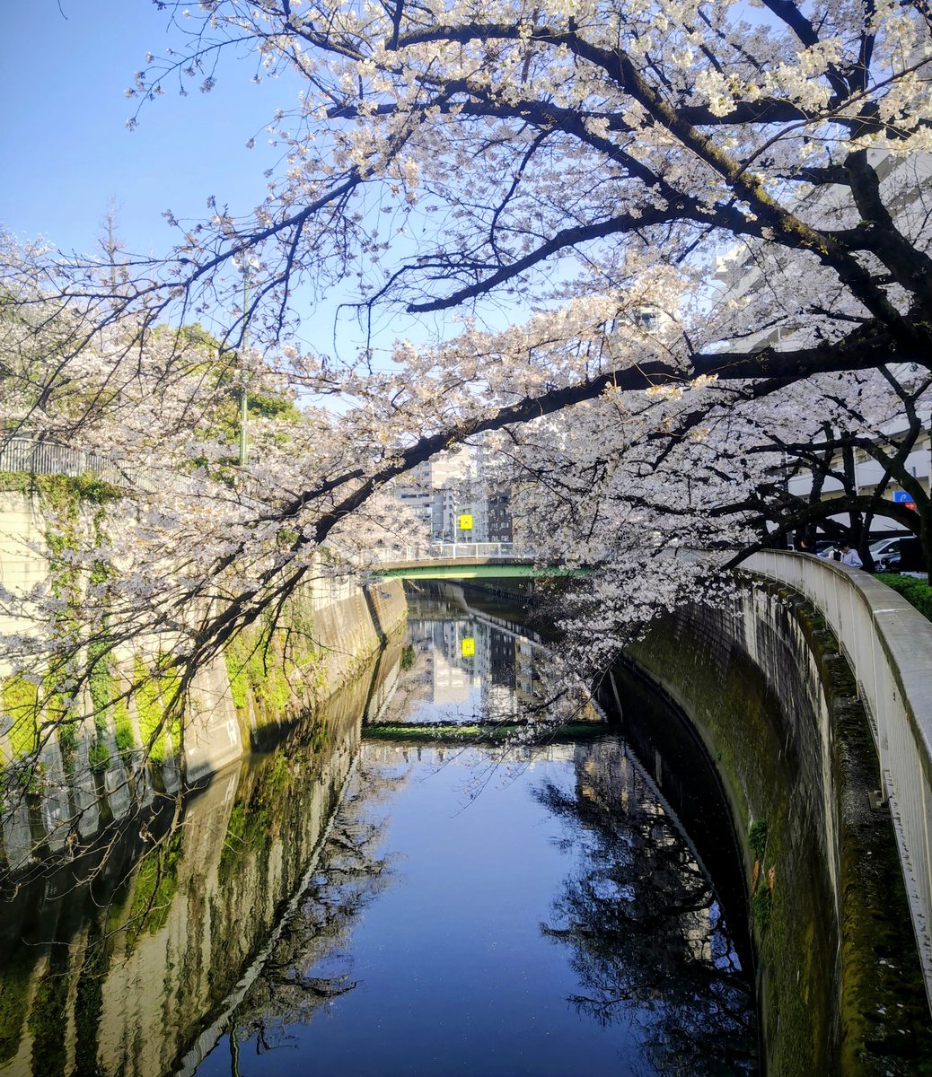 増田賢一/MAKKEN tweet media