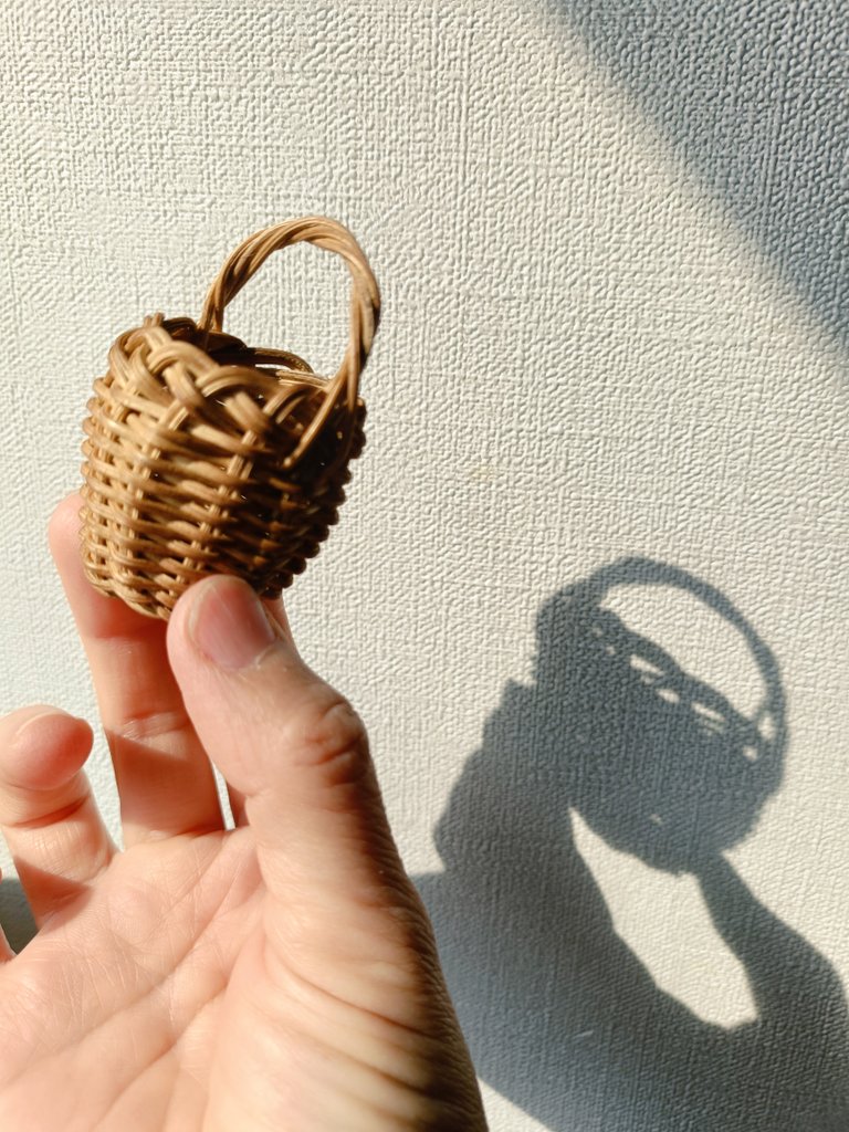 コト｜朝活で🌿整え tweet media