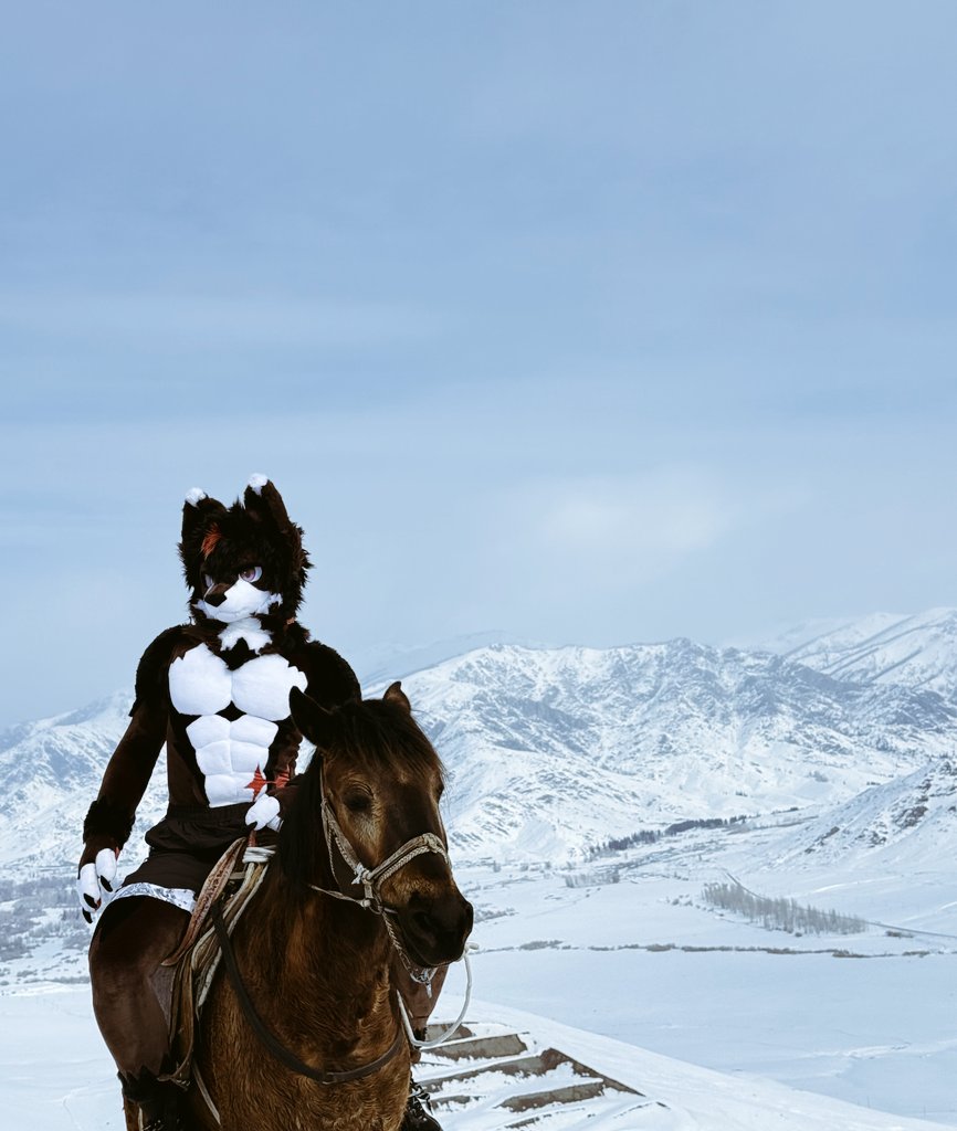 Spring泉 tweet media