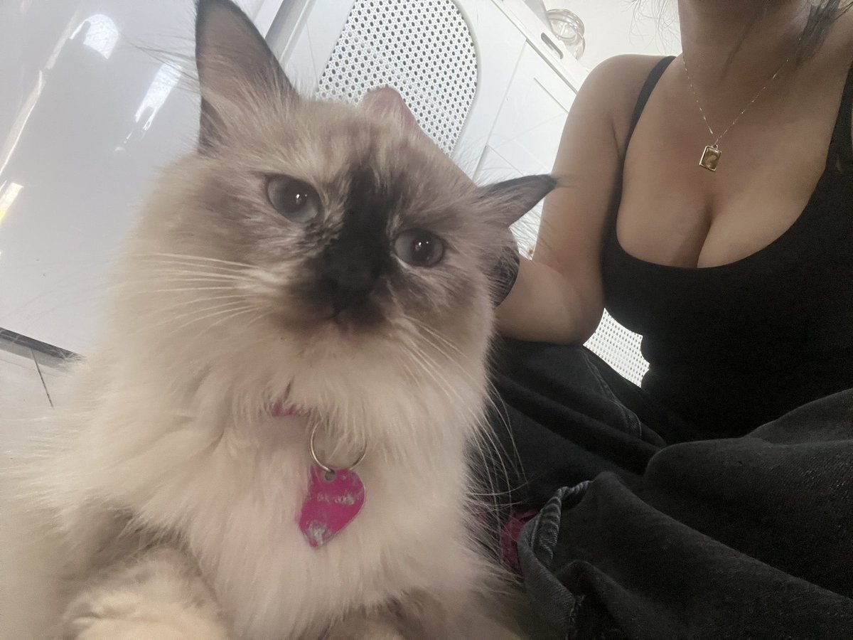 vivi 🪷 tweet media