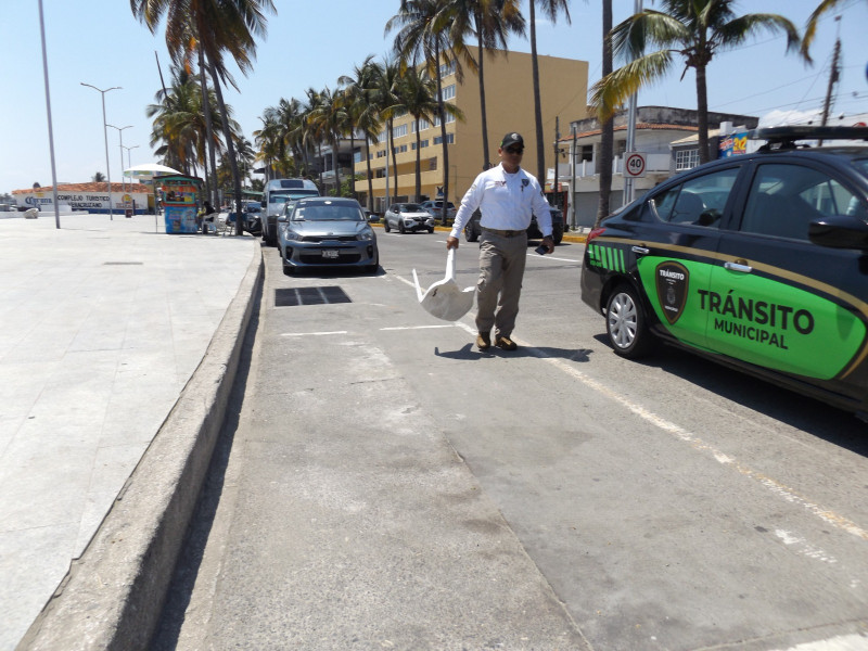 arturo reyes isidoro tweet media