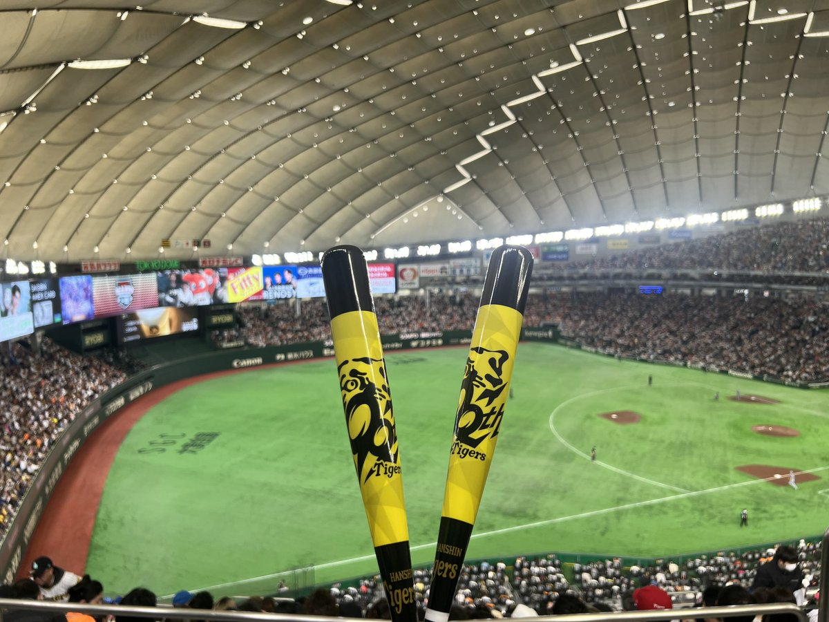 ゆゆXGO🍛 tweet media