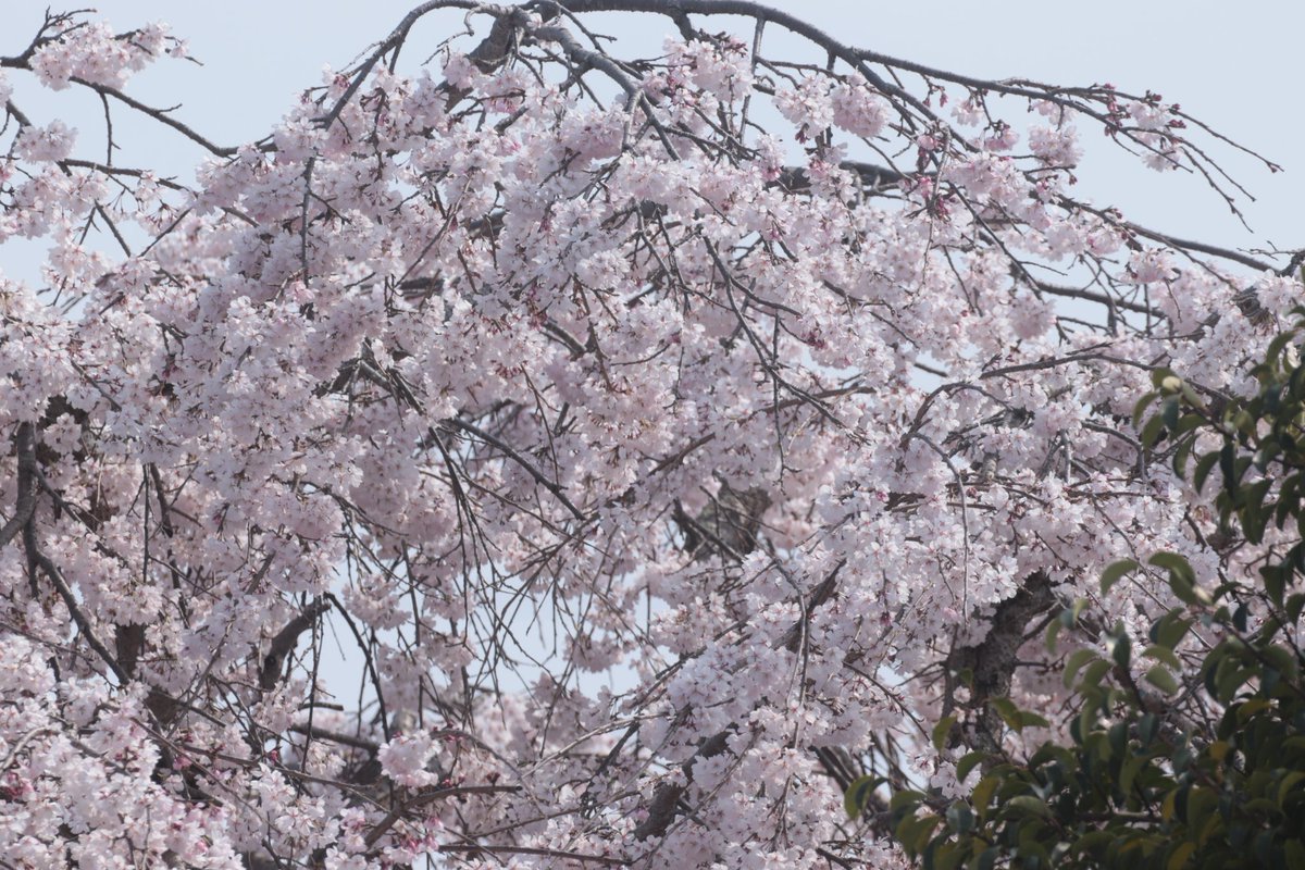 りゅうじ tweet media