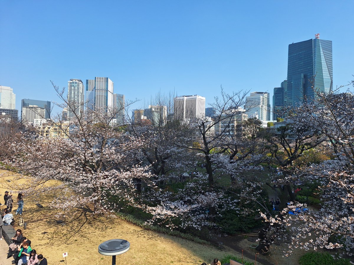 トネガワッ★ tweet media