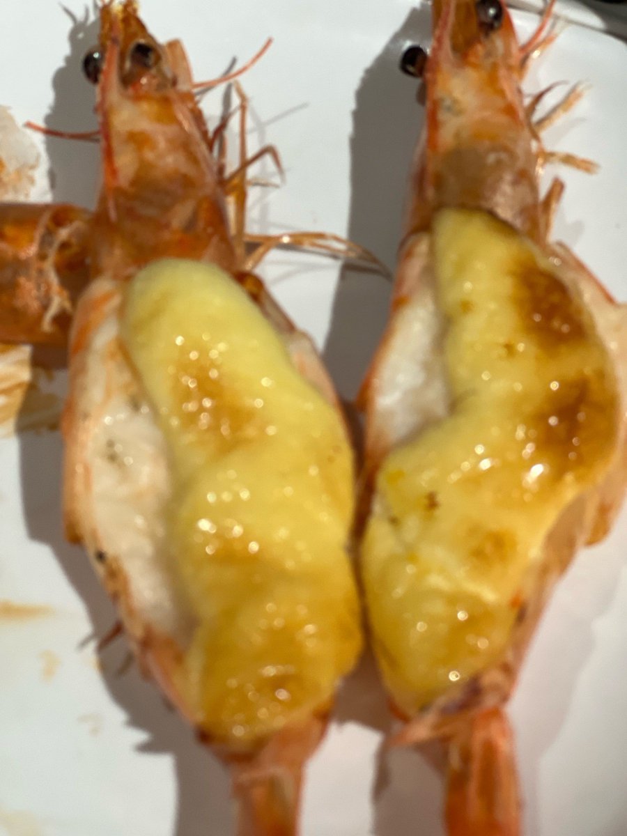 chris lehman tweet media