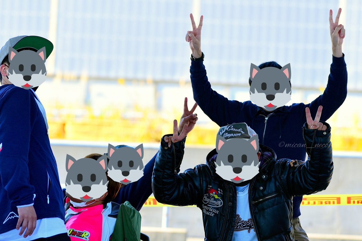 みかんねこ tweet media