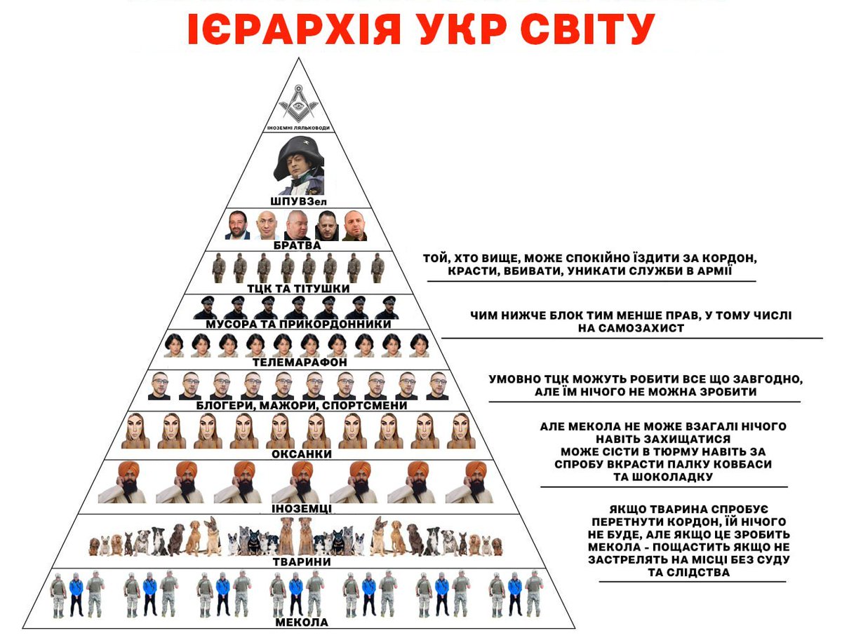 Брон Черноводный🐘 tweet media