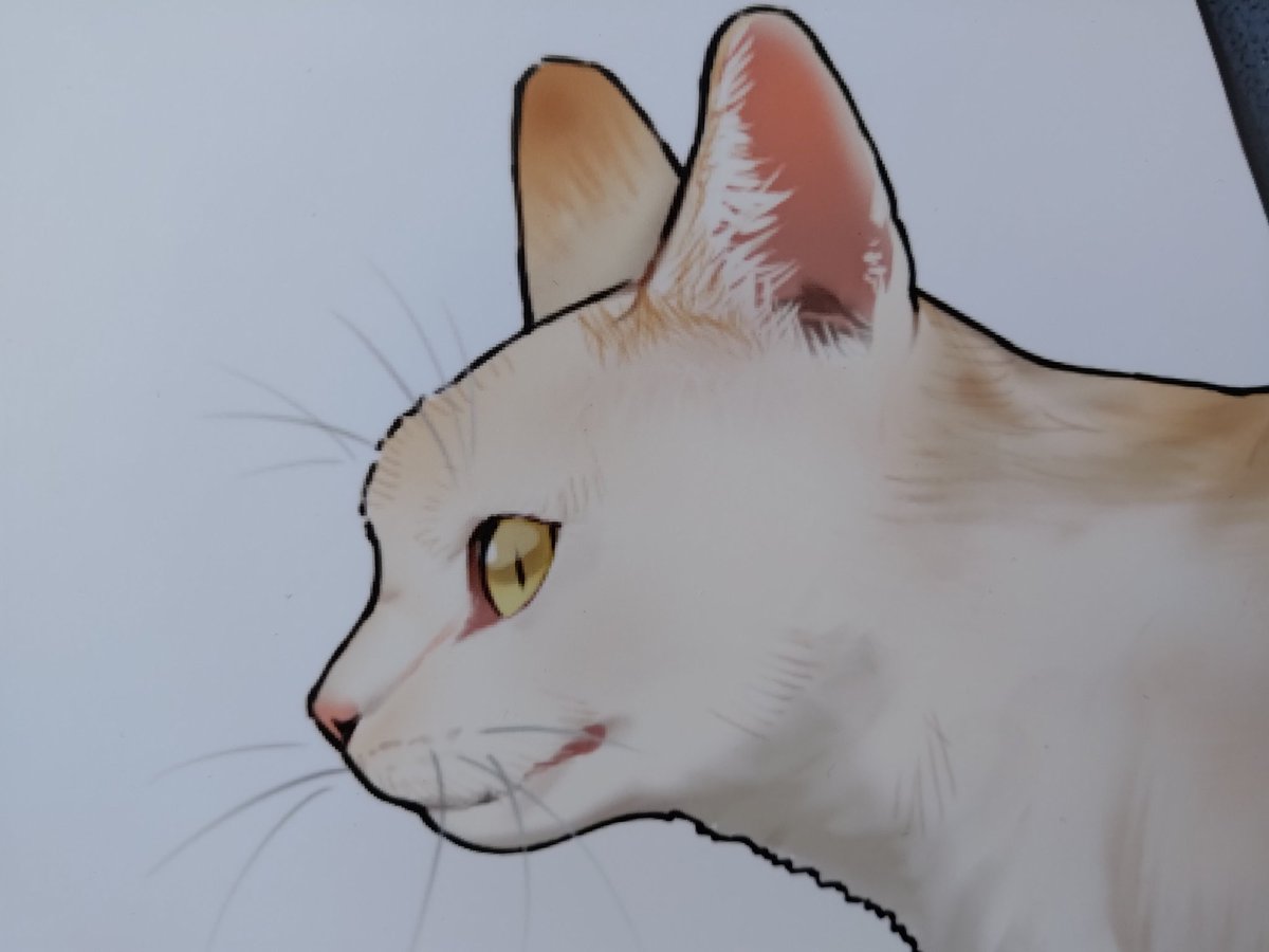 たた牌🀄4/5西海ノ暁佐世保A-19 tweet media