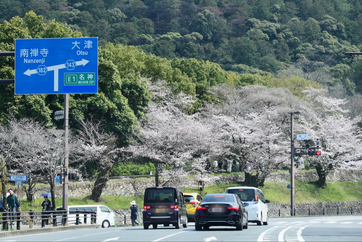 おかん/京都 tweet media