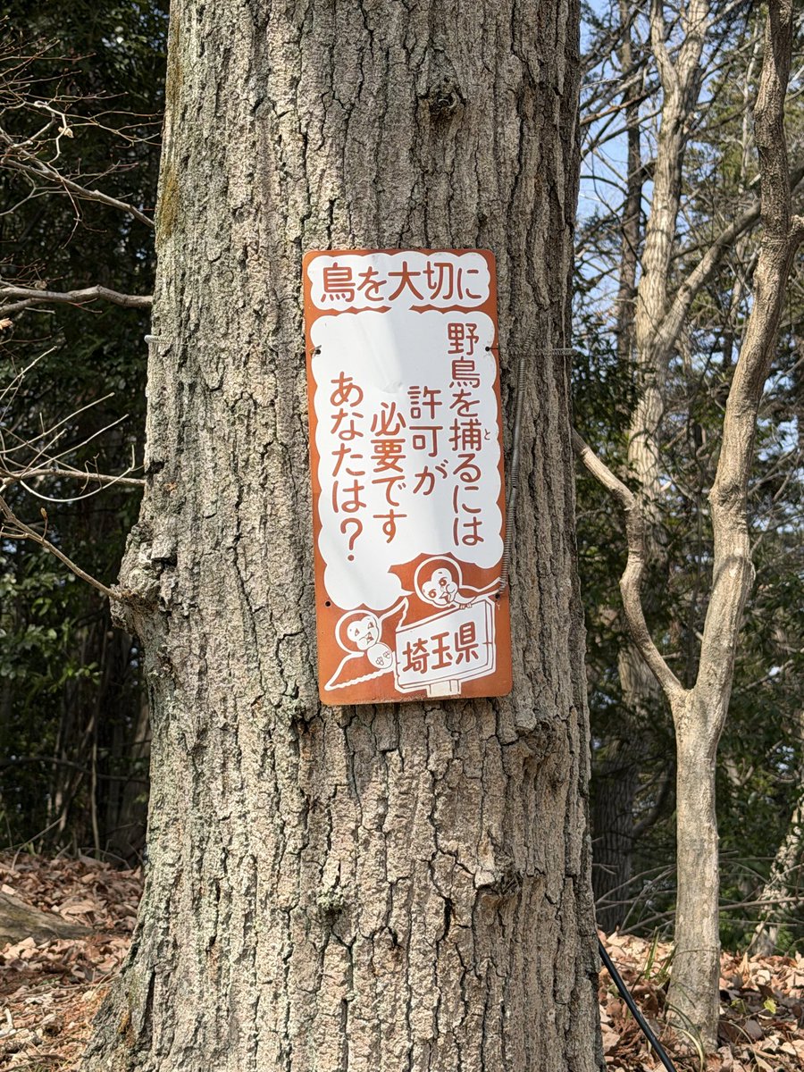 アイモ (福) tweet media