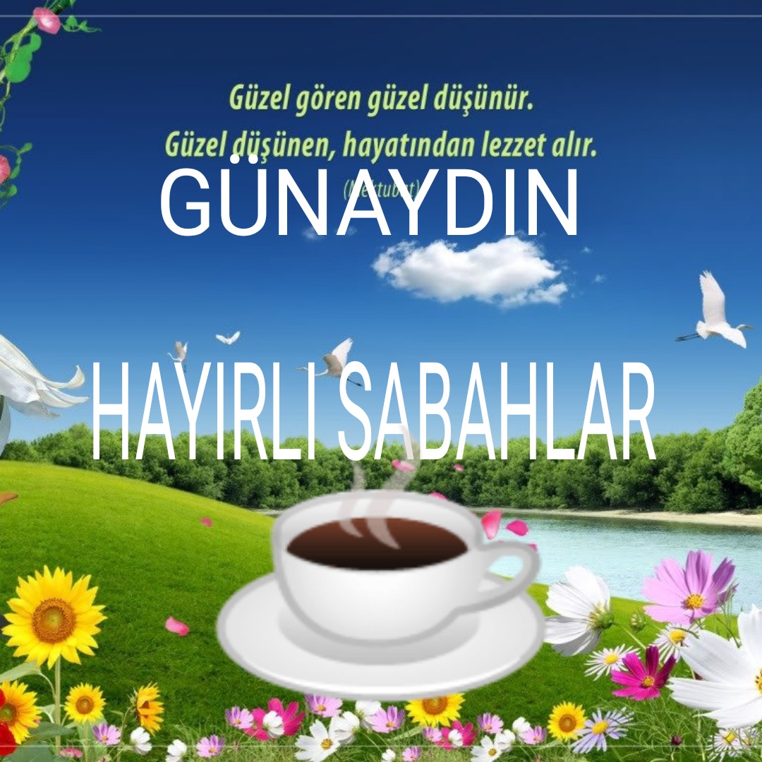 ahmet Usta tweet media