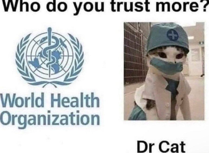 Community Notes & Violations tweet media