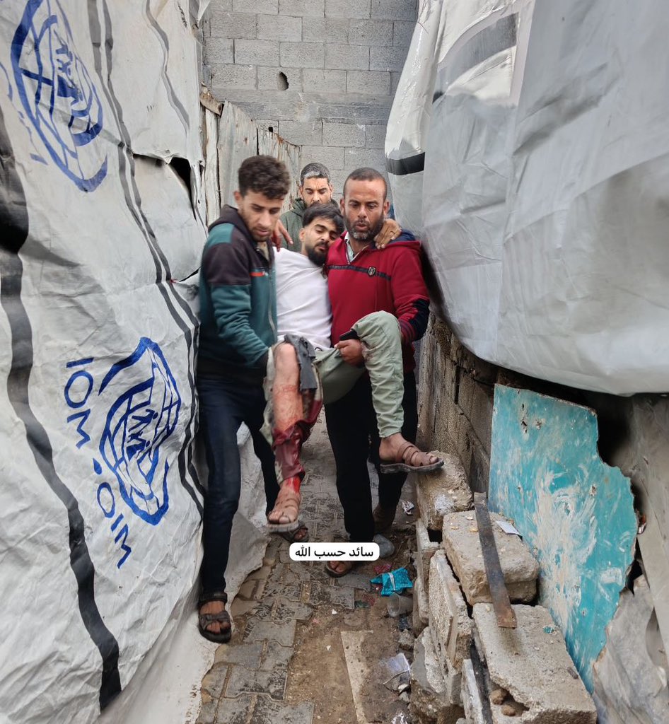 Motasem A Dalloul tweet media